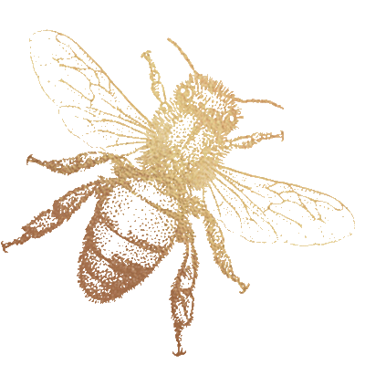Solo-Bee-Animated